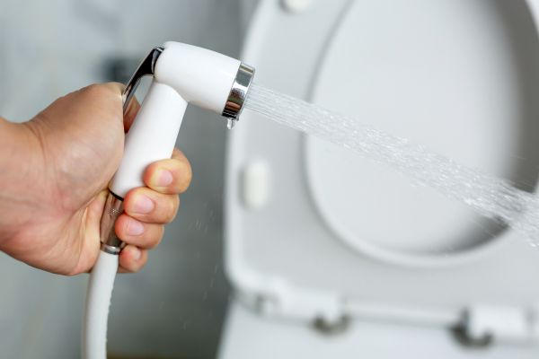 Cost of Bidet Installation in Rochester
