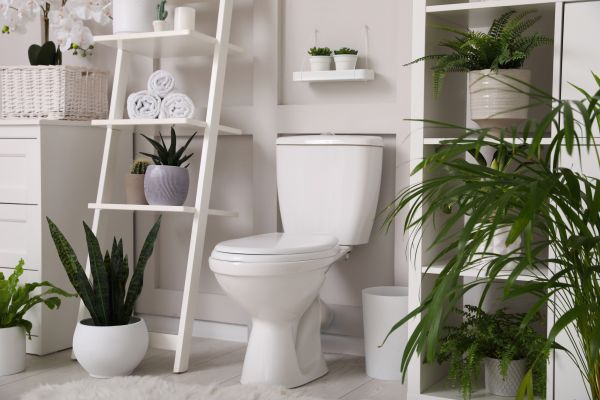 Cost of Toilet Repair in Rochester