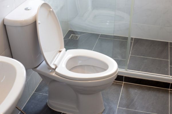 Cost of Toilet Replacement in Rochester
