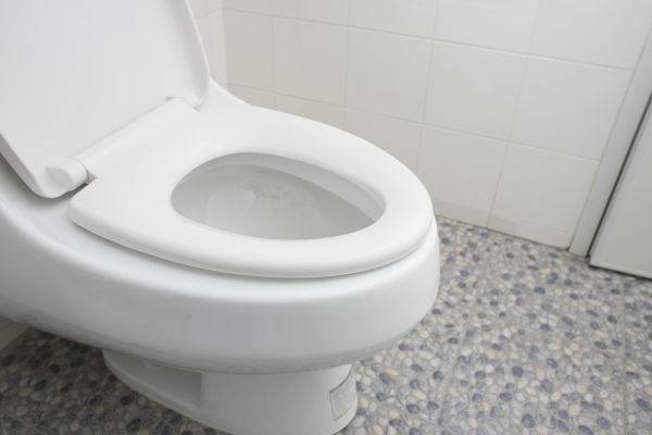 Cost of New Toilet Installation in Rochester